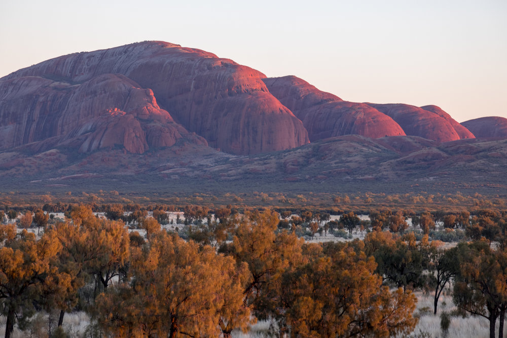 Mount Olga at the western end of Kata Tjuta reminds me of a sleeping dog in the early morning light, Leica CL and 55-135mm lens.